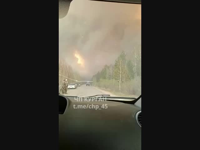 Пожары в Курганской области