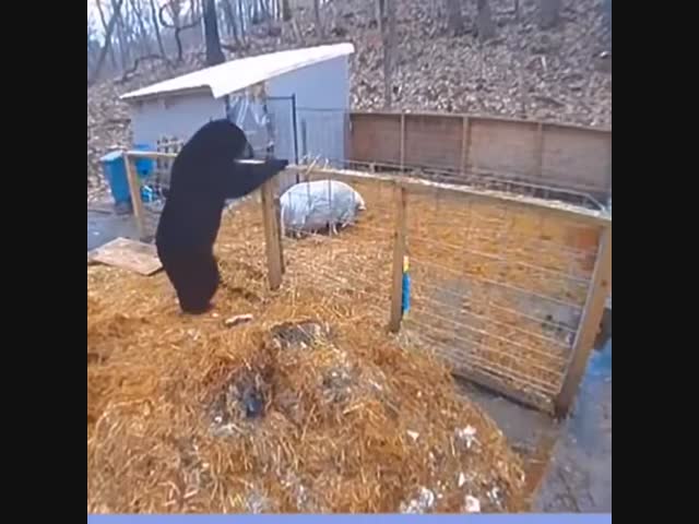 Заявка на дружбу не принята