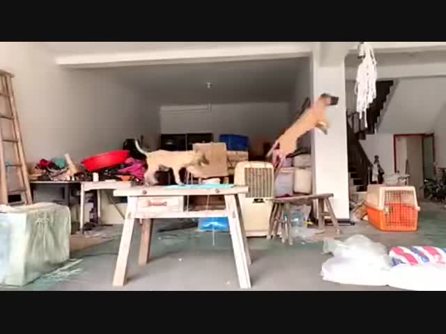 Молодость - это прекрасно