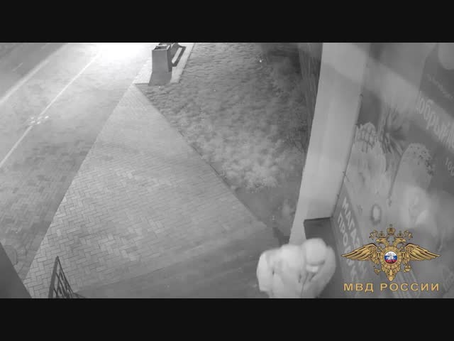 Разбойник попался