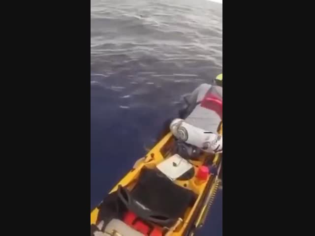 Вовремя убрал ногу из воды