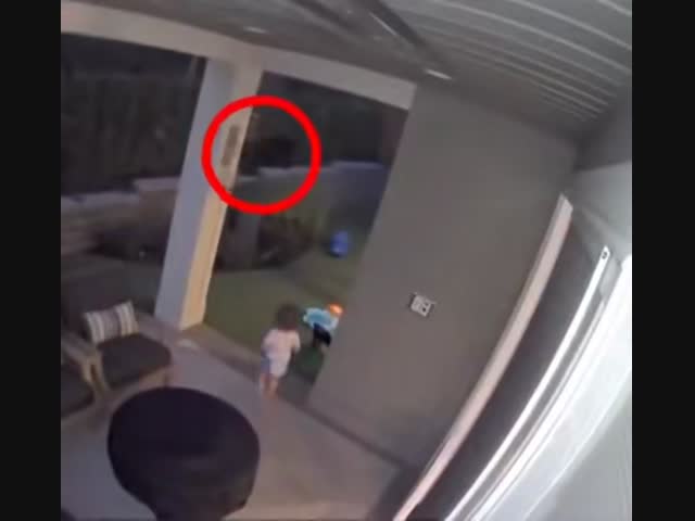 -Мамочка, мишка!!!