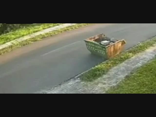 Мусорный бак против всех