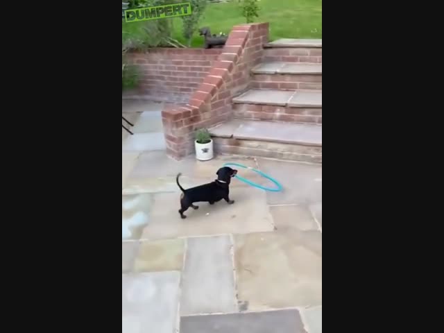 Миссия выполнима