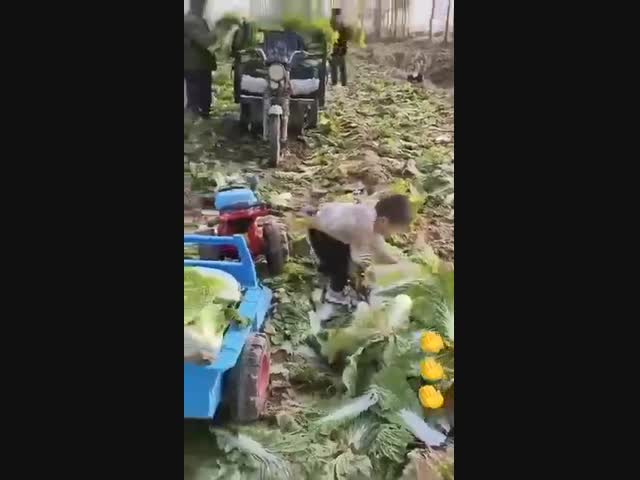 Упорный труд делает человека красивым