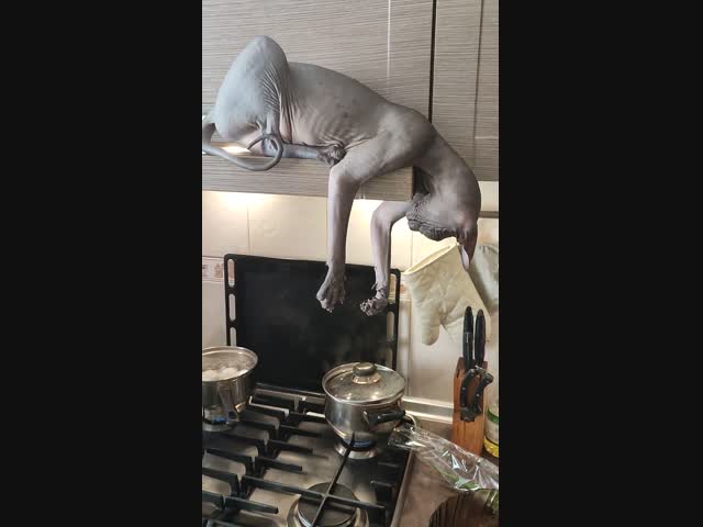 Когда уже время обеда