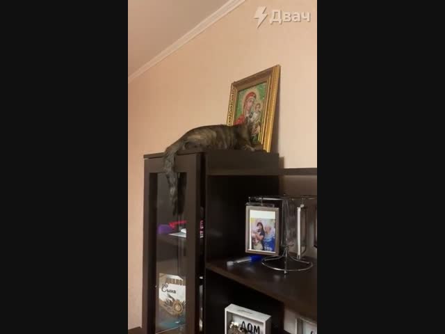 Все мы не без греха!