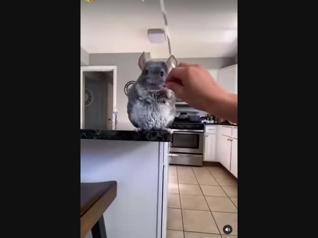 С днюхой, старичок!