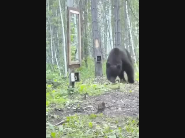 Боже, я сегодня ужасно выгляжу!⁠⁠