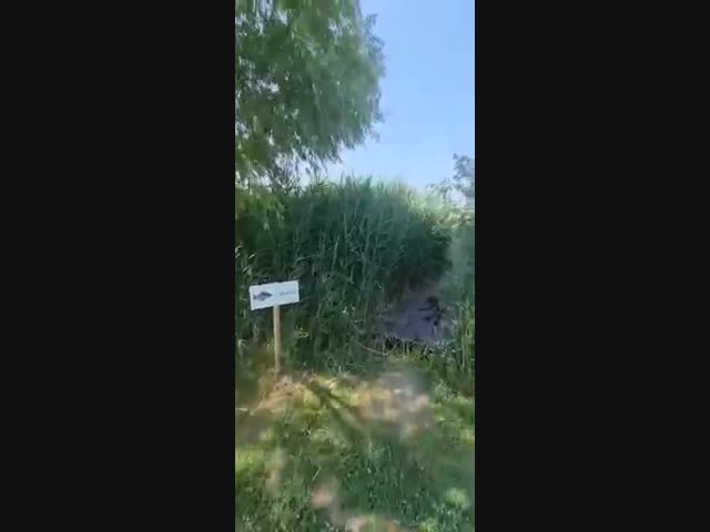 Клёвые аппартаменты на рыбалке