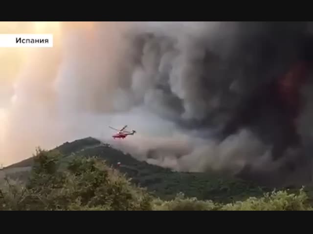 Лесной пожар в Португалии