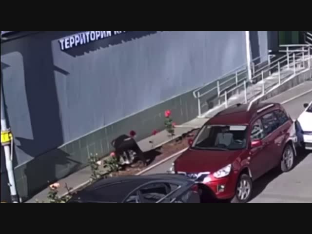 Любитель цветов