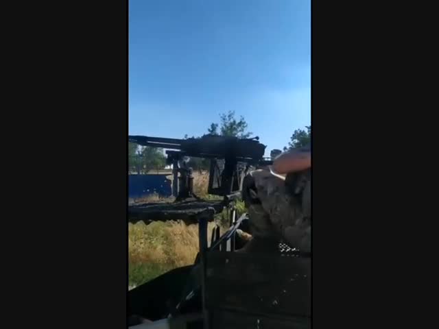 Украинский багги