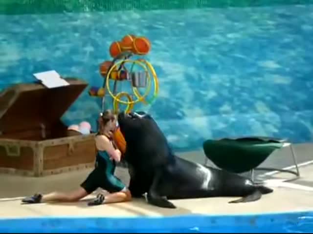 Талантливая танцевальная пара