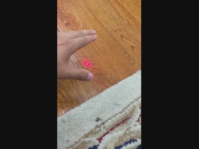 Кот и лазерный луч