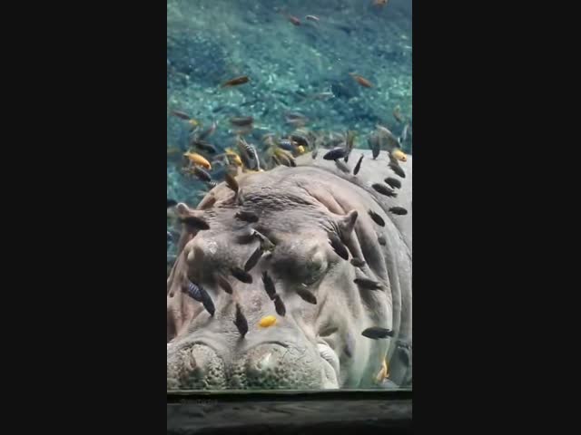 В парикмахерской