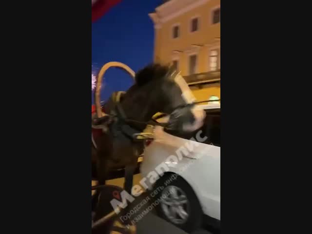 В центре Петербурга запряженная в карету лошадь испугалась фейерверка и врезалась в столик уличного кафе