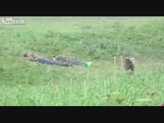 Наедине с природой