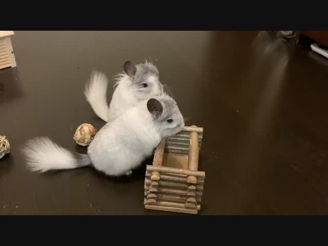 Нервы не в порядке