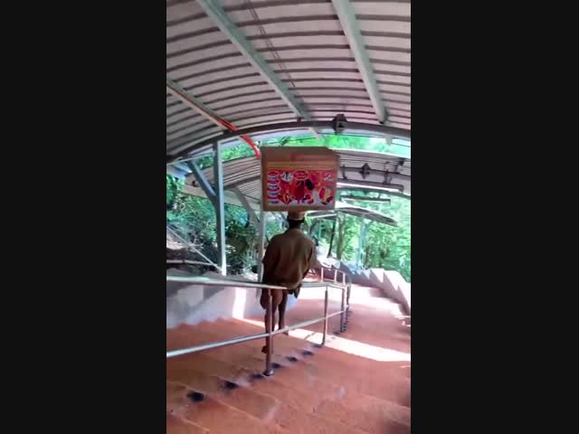 Работать нужно с умом и в своё удовольствие