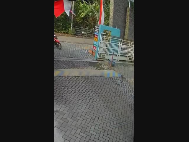 Третий лишний