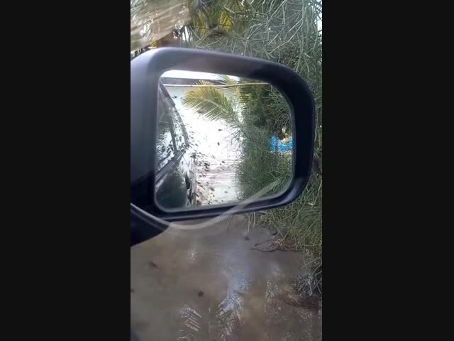 Открой окно, нам только спросить