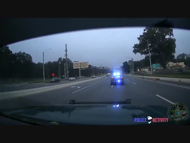 Безумная погоня 