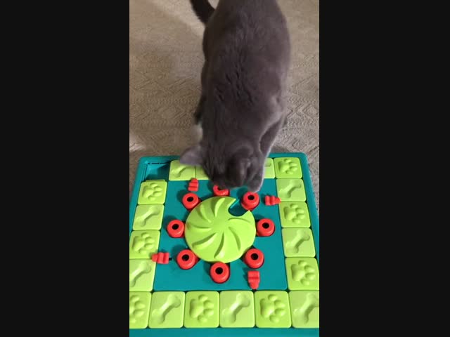 Умный какой!