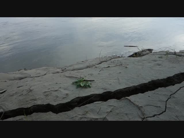 Изменчивое русло реки Обь