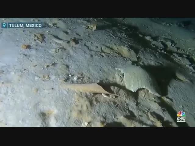 В затопленной пещере у берегов Мексики найден скелет доисторического человека