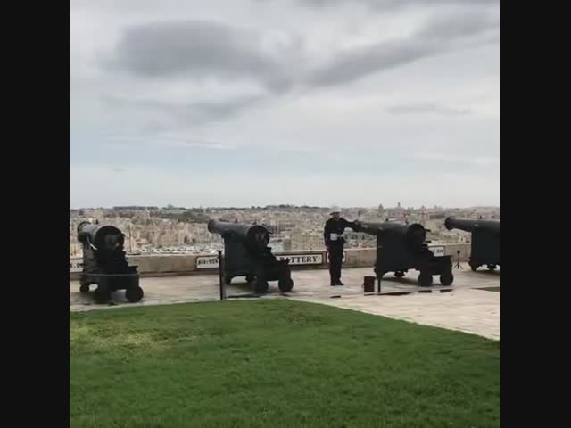 Пушка сбила голубя