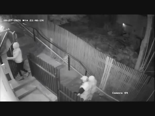 Девушка и медведи