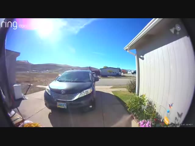 Воинственный олень