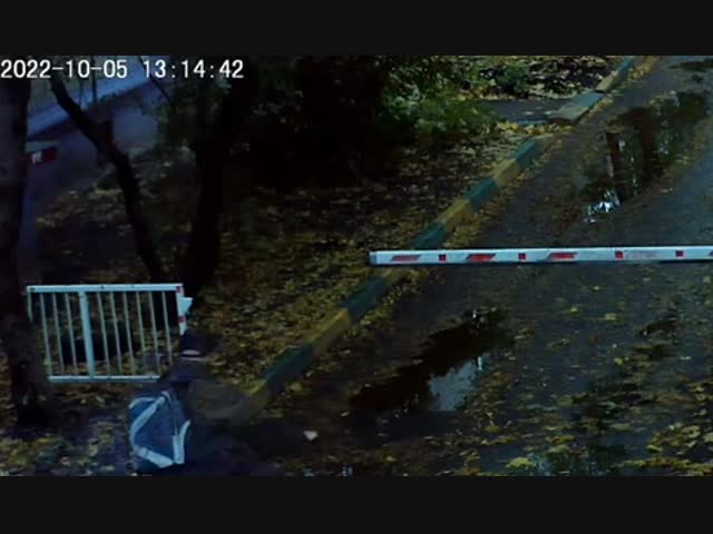 Курьеры не плачут 