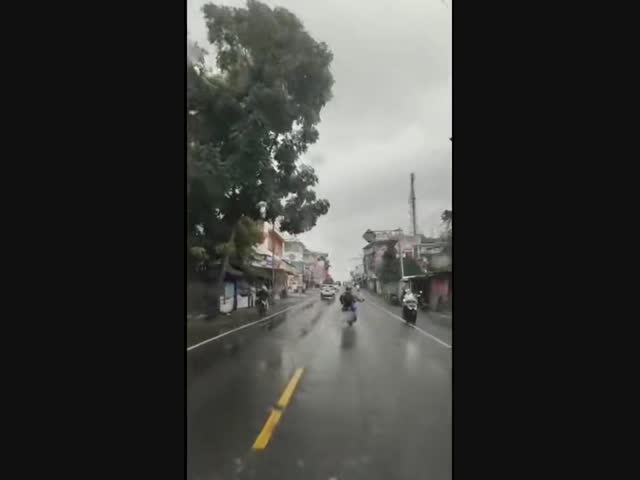 Кто из них виноват?