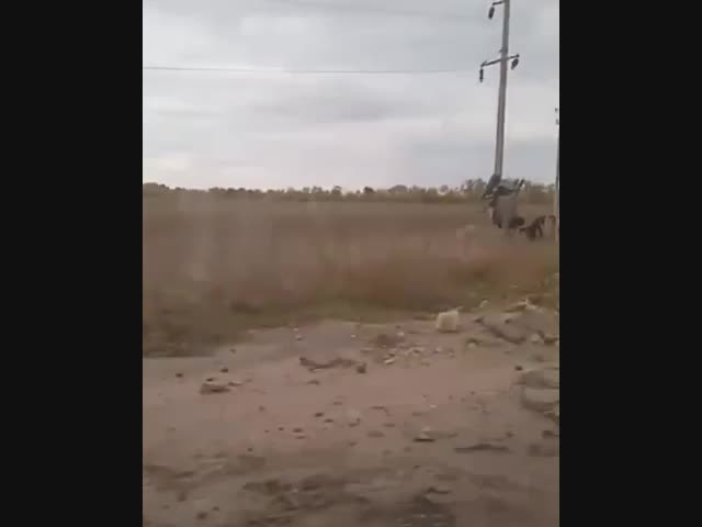 Разбитая военная техника РФ на юге Украины