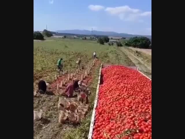 Физика для него, пустое место