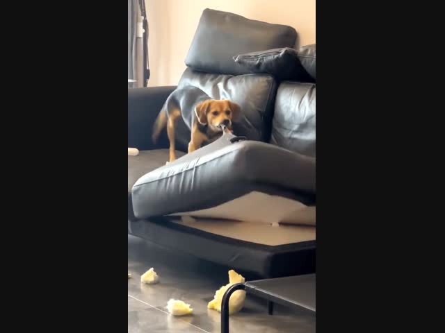 Когда не можешь найти пульт от телика