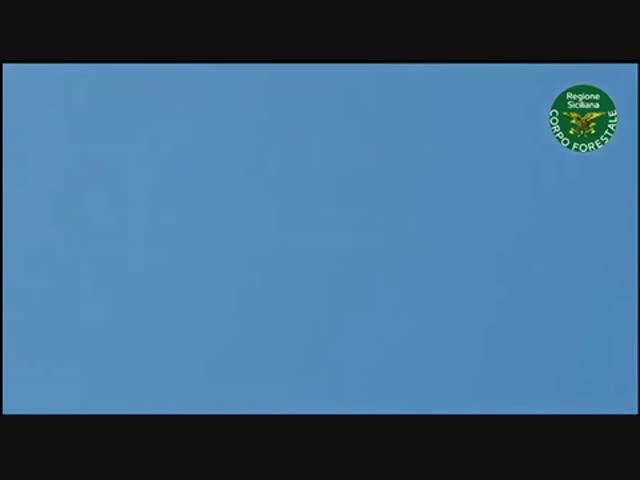 Последние минуты жизни