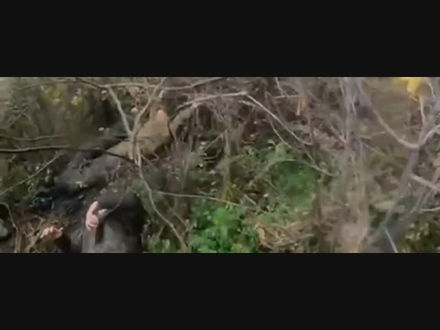 Лики смерти