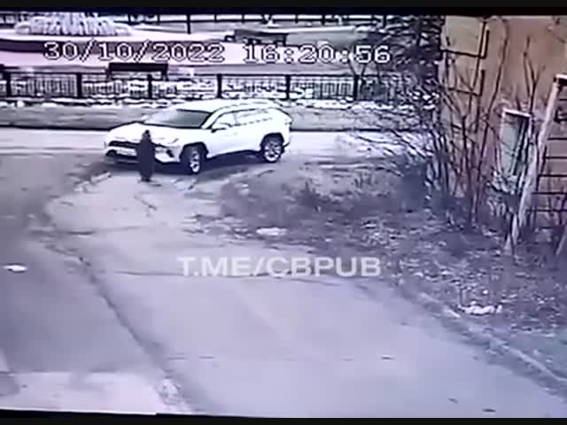 Человек - гав()о