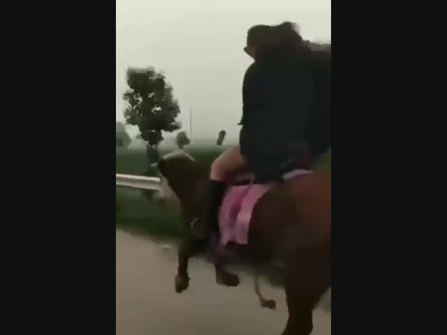 Три мушкетёра 5