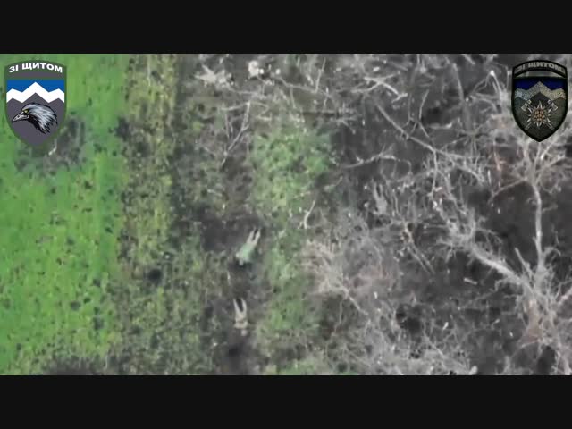 Тела военнослужащих в поле на Бахмутском направлении