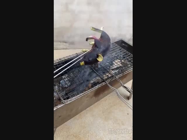 Когда пригласил веганов на шашлыки