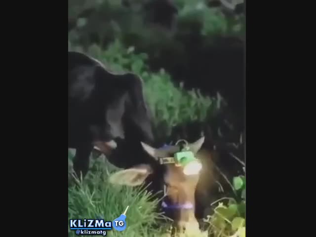 Это гениально!