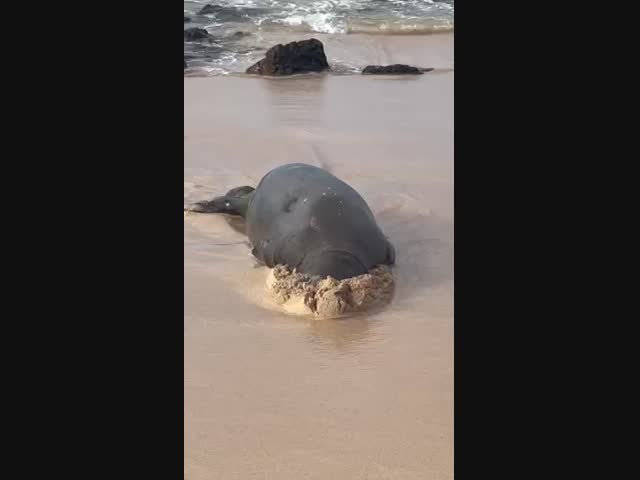 Ленивое утро