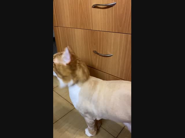 Стрижка под...