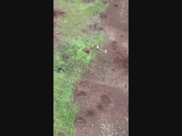 Бегом от смерти