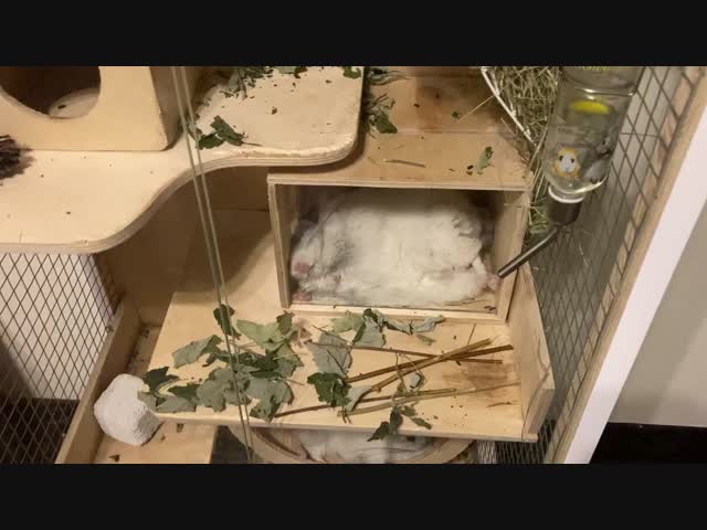 Вот это жизнь!