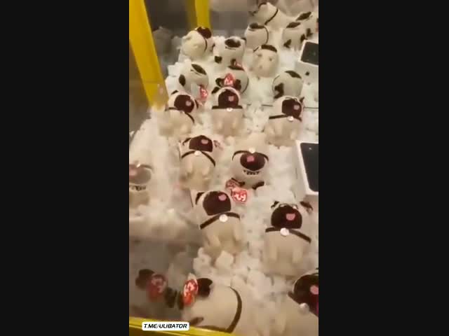 Разочарование